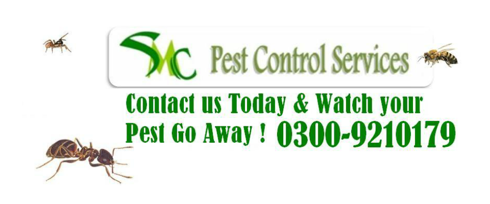 Contact - SMC Pest Control Services....Think of SMC and your Pest problems  are long gone